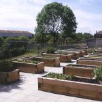 AMAZING GLASGOW ALLOTMENT PROJECT WITH NEW RAILWAY SLEEPER RAISED BEDS