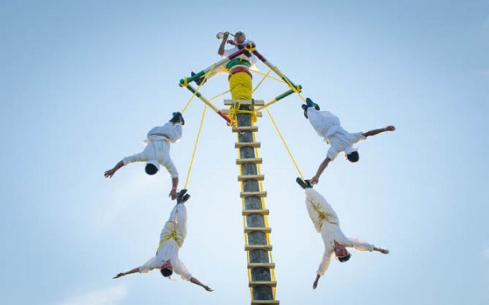 Telegraph pole used at Glastonbury Festival for a acrobatic high performance. Railwaysleepers.com
