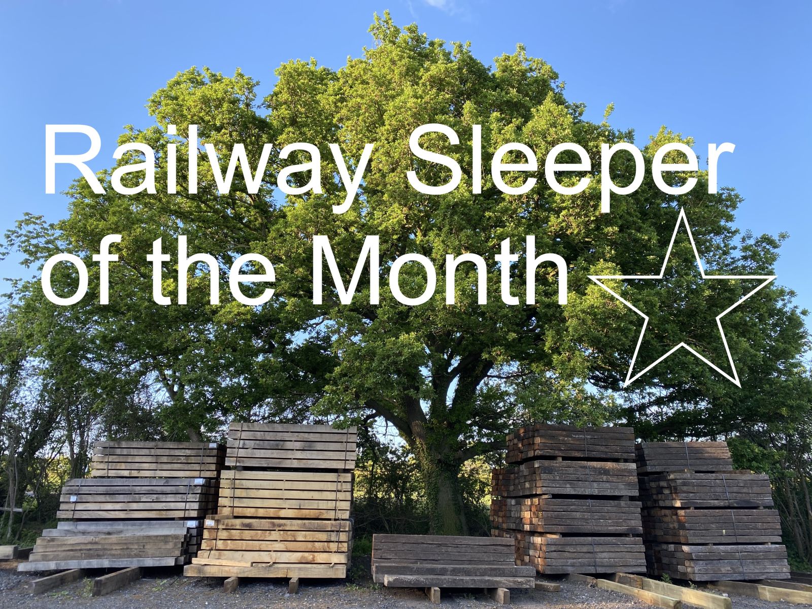 Each month we choose a railway sleeper as 'Railway sleeper of the month' with a special discount. Railwaysleepers.com