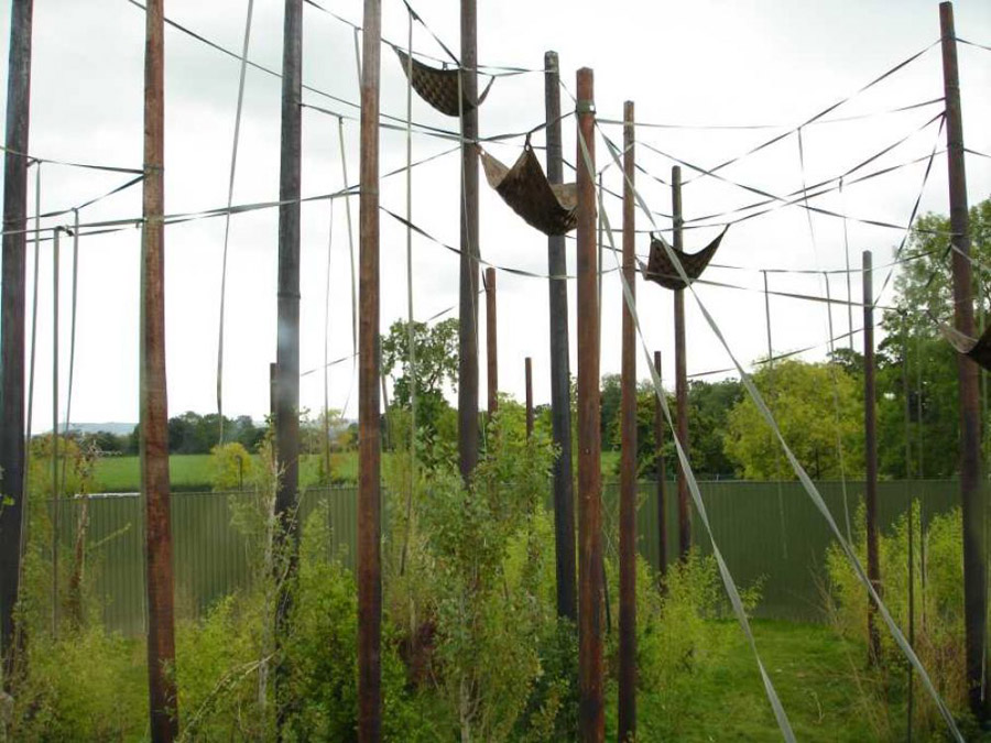 New telegraph poles used as play area for orangutans at Chester Zoo. Railwaysleepers.com