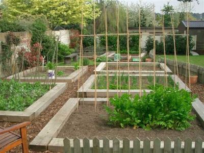 Amazing Raised Beds - Faster & better crops