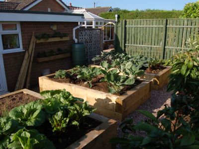 FIVE OF THE BEST! KEITH'S RAISED VEGETABLE BEDS WITH NEW RAILWAY SLEEPERS