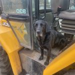 LUNA'S METEORIC RISE TO SUPERSTARDOM INCREASES AS SHE PASSES HER FORKLIFT TEST 