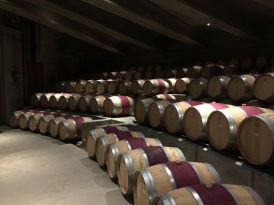 MONTES - A CHILEAN CATHEDRAL FOR HUNDREDS OF OAK BARRELS