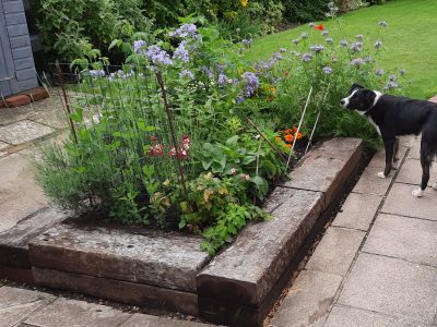 BRYONY'S RAILWAY SLEEPER PLANTER: THE SWEET SMELL OF SUCCESS