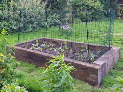 ROSEMARY ROSSER'S FORTIFIED RAISED BEDS WITH RECLAIMED OAK RAILWAY SLEEPERS