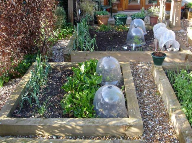 Raised garden vegetable beds built from new British pine railway sleepers. Railwaysleepers.com 